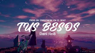 TUS BESOS ❣️ Reggaeton Romantico Dani RnB Video Lyric [upl. by Buehrer582]