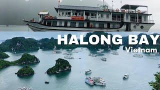 Halong Bay Tour 2 days1 night by Cozy Bay Cruise  Vietnam 2024 [upl. by Mendel]