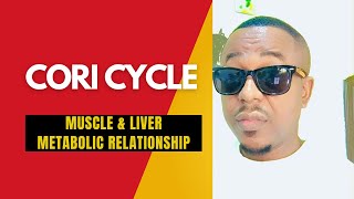 Cori cycle Pidgin  Connecting anaerobic glycolysis in muscle to gluconeogenesis in the liver [upl. by Franklyn]