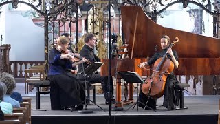 Schubert Piano Trio No 2 in Eflat Major Op 100 – Andante con moto  Faust Gabetta Bezuidenhout [upl. by Aratahc134]