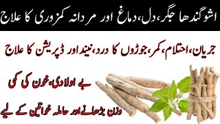 Asgandh nagori ke fayde in UrduHindi  ashwagandha ke fayde Winter cherry root benefits Ashwagandha [upl. by Kurtzman]