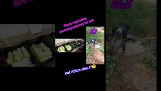 African DNA vegetables market preparation trendingshorts marketmoney [upl. by Nosreg]