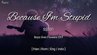 IndoSub SS501  Because Im Stupid HanRomEngIndo Lyric [upl. by Aleyak]