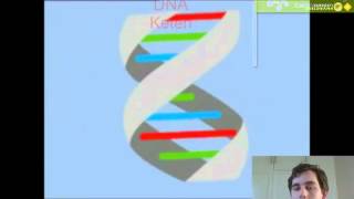 chromosoom DNA en gen [upl. by Lahpos]