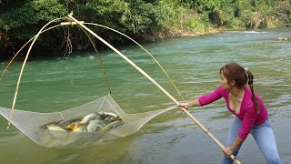 How to Bait Fish in The River Catch Fish With Fishing Nets  Traditional Net Fishing on the River [upl. by Nylear450]