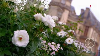 Jardin  Paradis blanc [upl. by Salomie]