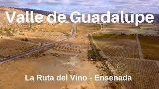 Valle de Guadalupe  Ensenada 4K  Armando la Ruta [upl. by Otipaga]