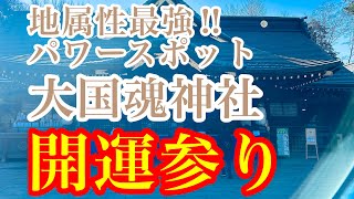 開運‼︎地属性最強パワースポット【大国魂神社】で初詣行ってきたら最強な年明けになった！ [upl. by Eiluj]