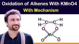 Oxidation of Alkenes with kmno4 Mechanism [upl. by Atikan]