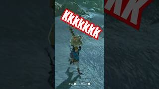 Uma bica na caveira kkkk switchonline nintendoswitch zeldatearsofkingdom [upl. by Aehcsrop]