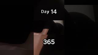 365 pushup challenge  day 15 meditatewithgibsonshorts pushupchallenge pushups fitness [upl. by Nnaillek]