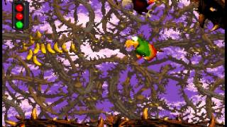 Donkey Kong Country 2 OST Super Nintendo  Track 1829  Bad Bird Rag Screechs Sprint [upl. by Dunson745]