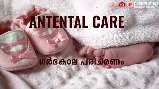 Antenatal Care ഗർഭകാല പരിചരണം [upl. by Tnecnev558]