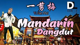 Yi Jian Mei Mandarin Dangdut 一剪梅 Dede Lo [upl. by Busch40]