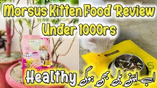 Morsus Kitten amp Cat Dry Food Review Under 1000Rs  Best Dry food Brand for Persian kittens in 2024 [upl. by Garda]