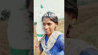 Paniki vachinam trdingshorts agriculture viralvideo [upl. by Valli739]