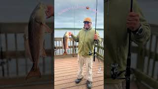 crabbing fishing nature fishspecies crabbers COMMENT  LIKE SHARE amp SUBSCRIBE THANK YOU [upl. by Alyhc]