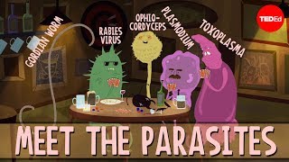 How brain parasites change their hosts behavior  Jaap de Roode [upl. by Robena]