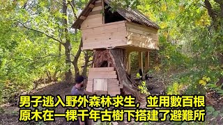 男子逃入野外森林求生，並用數百根原木在一棵千年古樹下搭建了避難所  在野外生存 [upl. by Janot]