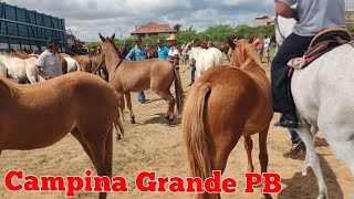 FEIRA DO CAVALO DE CAMPINA GRANDE PB 27032024 [upl. by Ppilihp821]