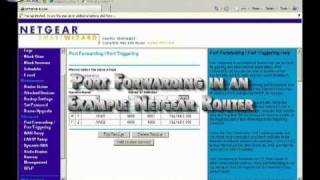 Port Forwarding on a Netgear router for Alnet PC Based DVR and NVR systems [upl. by Dahraf678]