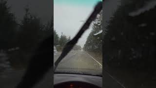 pnw pouringrain humptulips [upl. by Geaghan450]