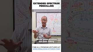 Extended Spectrum Penicillins drnajeeb drnajeeblectures shortvideostatus [upl. by Noorah]