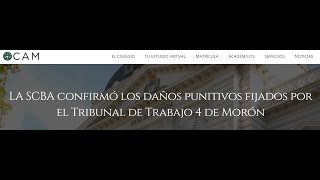 LA SCBA confirmó los daños punitivos fijados por el Tribunal de Trabajo 4 de Morón [upl. by Semele773]