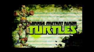 TMNT 2012  Theme Song Lyrics [upl. by Hukill]