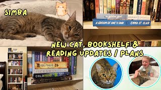 WE GOT A NEW CAT  READING UPDATES PLANS amp NEW BOOKSHELF [upl. by Esej]