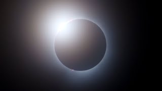 Totality from Solar Eclipse 2024 [upl. by Ehcor361]