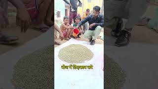 seed treatment of peanano seedtreatment shorts shortvideo shortsfeed viralvideo [upl. by Norrat70]