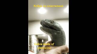 Слепил из пластилина Кобра king cobra Plasticine пластилин handmade snake sculpture reptiles [upl. by Etterraj]