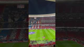 🏟️ HASTA EL FIN DE MIS DÍAS TIFO Metropolitano ElDerbideMadrid [upl. by Yekim]