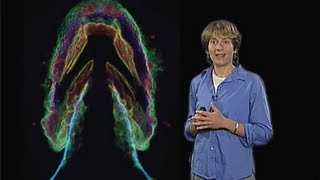 Carolyn Bertozzi UC Berkeley Part 2 Imaging the Glycome [upl. by Onifur563]