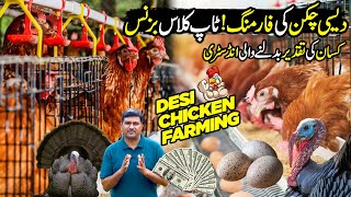 DESI CHICKEN FARMING  Profitable Poultry Business in Pakistan  Kissan Ka Pakistan [upl. by Verine]