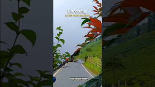 Kurseong Darjeeling song music jubinnautiyal ytshort shorts siliguri darjeelingtrip [upl. by Ahsenrat943]