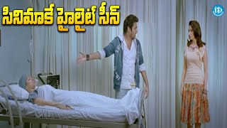 Endukante Premanta Movie Scene  ఈ సీన్ చూస్తే మతిపోతుంది భయ్యా  iDream Eluru [upl. by Raffin155]