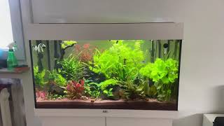 Juwel Rio 125l Aquarium [upl. by Parthenia]