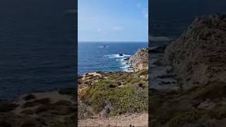 Carloforte Faro Capo Sandalo Sardegna 15092024 travel travelvlog traveling travelling [upl. by Colner850]