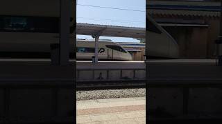 Alfa Pendular a 220 kmh alta velocidade shorts shortvideo viralvideo train railway video [upl. by Sondra]