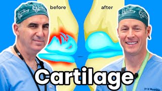 How To Grow Your Cartilage Can We Actually Do It [upl. by Juanita]