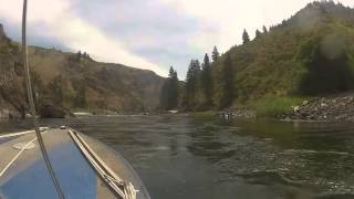 snowhole rapid jet boat Salmon River ID [upl. by Hareenum384]