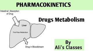 Drugs Metabolism  Pharmacokinetics metabolism pharmacokinetics alisclasses9000 [upl. by Kersten]