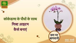 Chhat Par Bagwani  How To Make Gift Item With Kokedama Plants  Promo  छत पर बागवानी  26082023 [upl. by Haldan]