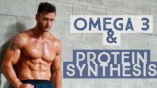 How Omega 3 Helps Build Muscle Increase Protein Synthesis Thomas DeLauer [upl. by Cornel]