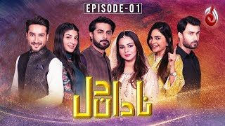 Nadan Dil  Episode 01  22 April 2024  Aaj Entertainment [upl. by Ahsatal86]