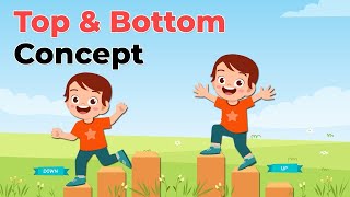 Concept of Top and Bottom for Preschool Kids [upl. by Ytomit]