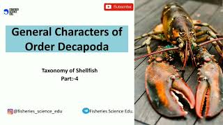 General Characters of order Decapoda  Taxonomy of Shellfish  Part 4  Fisheries Science [upl. by Esenwahs]