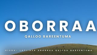 SEENAA fi HIDDALATIINSA OBORRAA QALLOO  BAREENTUMAAOROMOO Seenaaoromoo Oborraa [upl. by Nueovas]